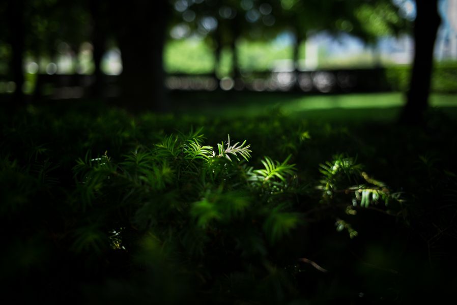 IMAGE: http://i1109.photobucket.com/albums/h433/shutter_dreams/m-p/L1004389_zpslf2vr6uv.jpg