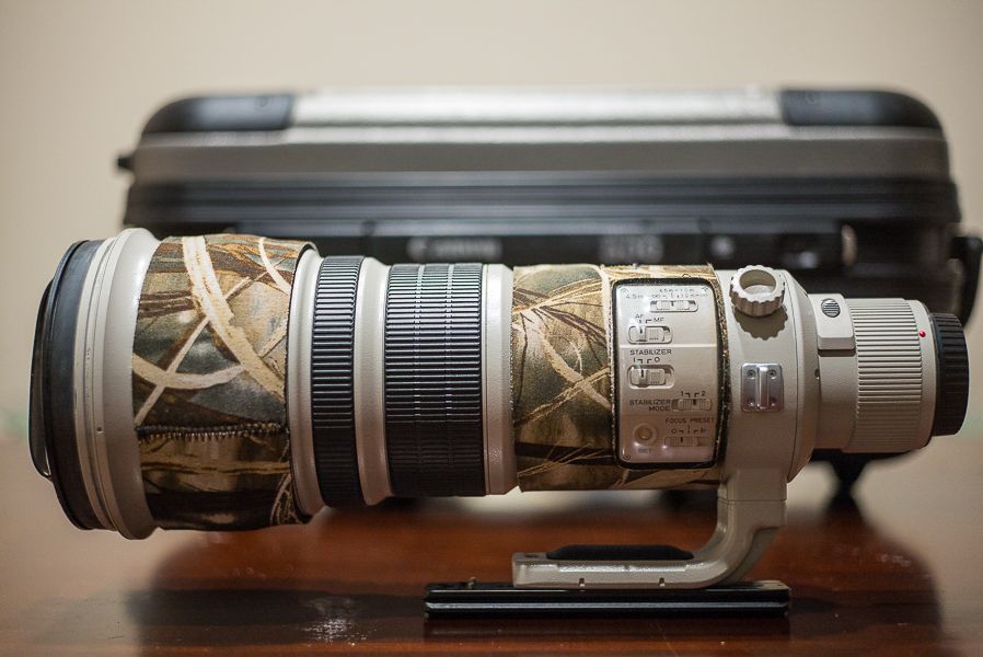 IMAGE: http://i1109.photobucket.com/albums/h433/shutter_dreams/m-p/L1004451_zpsidpvr7kd.jpg