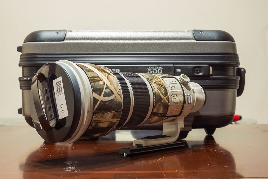 IMAGE: http://i1109.photobucket.com/albums/h433/shutter_dreams/m-p/L1004456_zpsueezjl7l.jpg