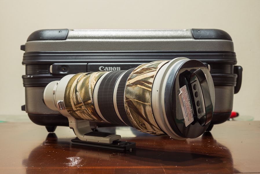 IMAGE: http://i1109.photobucket.com/albums/h433/shutter_dreams/m-p/L1004457_zpsd6c3zs0j.jpg