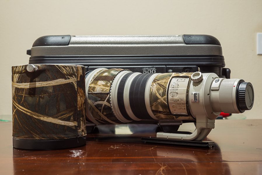 IMAGE: http://i1109.photobucket.com/albums/h433/shutter_dreams/m-p/L1004461_zpspyyrzkm8.jpg