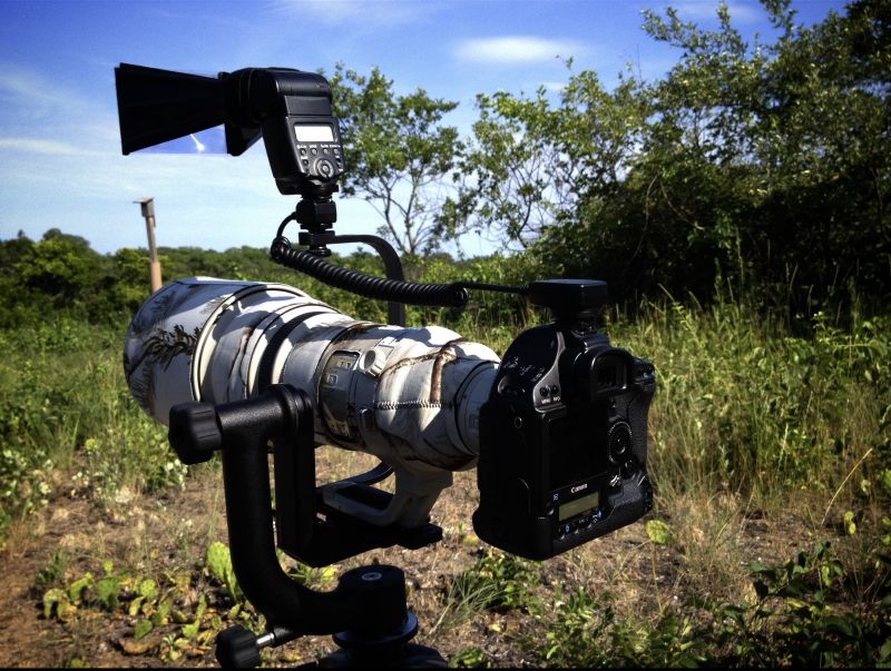 IMAGE: http://i1109.photobucket.com/albums/h433/shutter_dreams/misc/image2b_zps87069f75.jpg