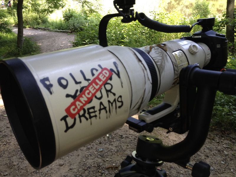 IMAGE: http://i1109.photobucket.com/albums/h433/shutter_dreams/misc/image3b_zps683aa4bc.jpg