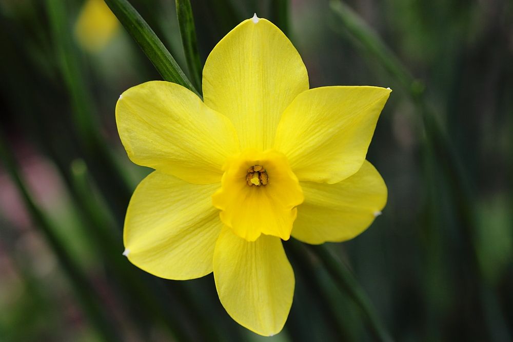 IMAGE: http://i1109.photobucket.com/albums/h433/shutter_dreams/mkii/IMG_03612.jpg