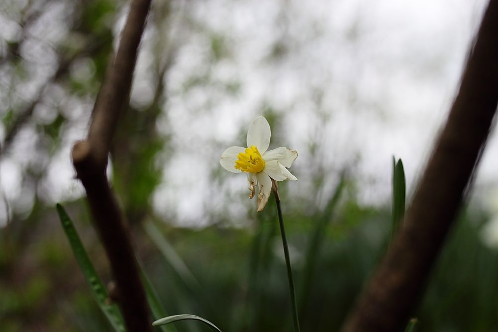 IMAGE: http://i1109.photobucket.com/albums/h433/shutter_dreams/mkii/IMG_04142.jpg