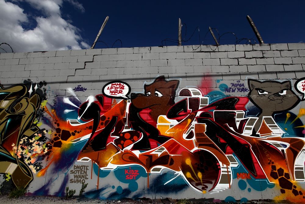 IMAGE: http://i1109.photobucket.com/albums/h433/shutter_dreams/mkii/IMG_6185.jpg