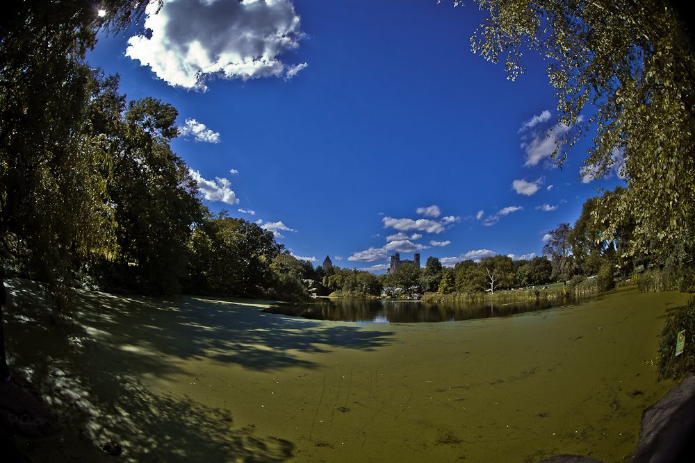 IMAGE: http://i1109.photobucket.com/albums/h433/shutter_dreams/mkii/IMG_6520.jpg