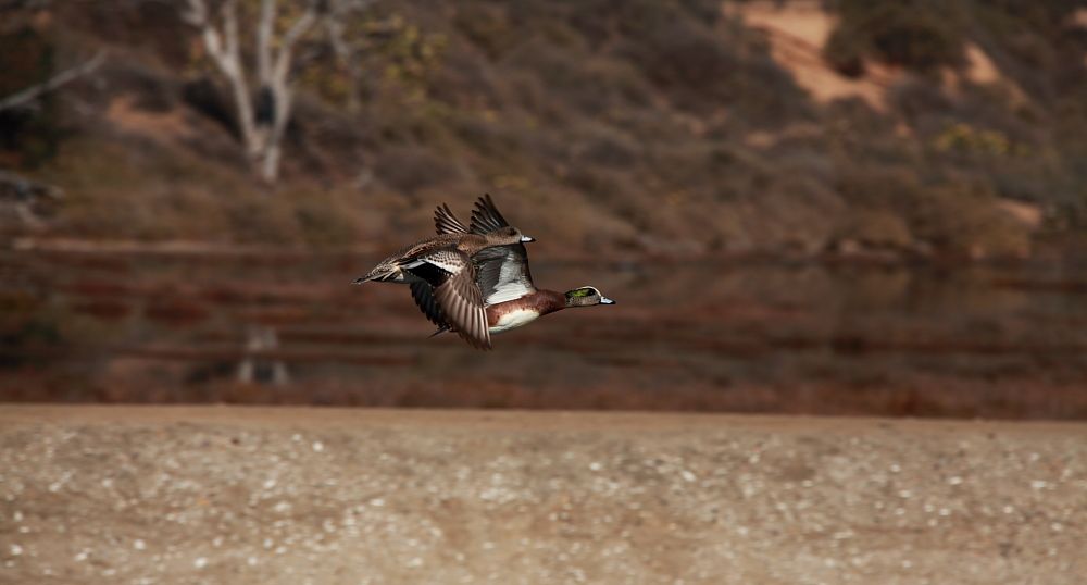 IMAGE: http://i1109.photobucket.com/albums/h433/shutter_dreams/mkii/IMG_9348_zpsc24a42f3.jpg