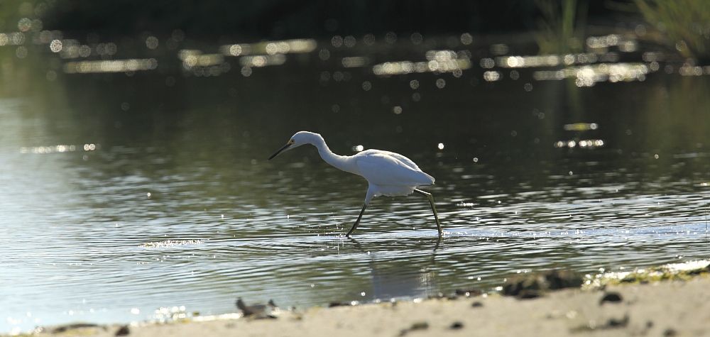 IMAGE: http://i1109.photobucket.com/albums/h433/shutter_dreams/mkii/IMG_9758_zpsafc97038.jpg