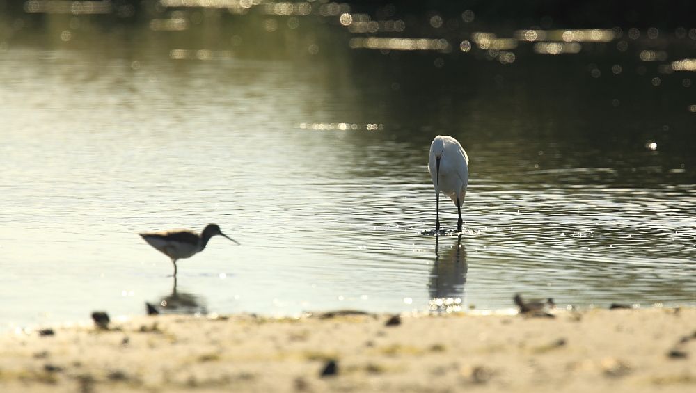 IMAGE: http://i1109.photobucket.com/albums/h433/shutter_dreams/mkii/IMG_9759_zpsed9297ae.jpg