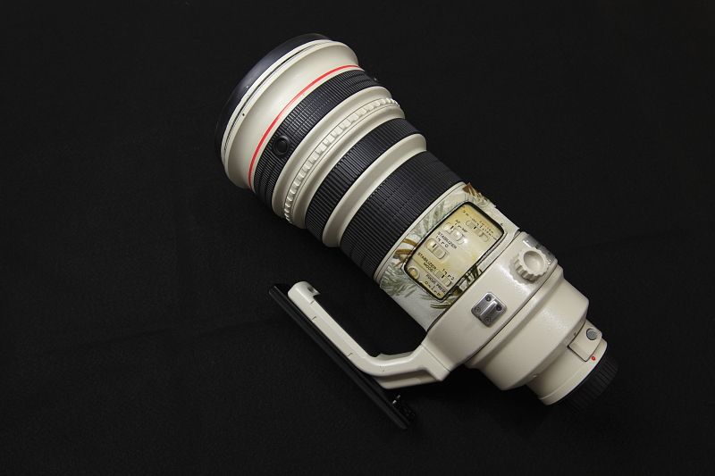 IMAGE: http://i1109.photobucket.com/albums/h433/shutter_dreams/mkii/IMG_9946_zps81427478.jpg