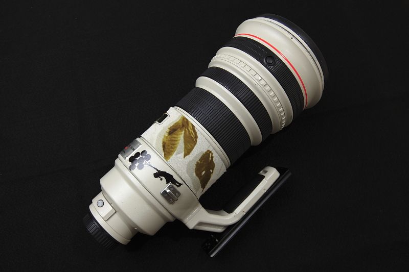 IMAGE: http://i1109.photobucket.com/albums/h433/shutter_dreams/mkii/IMG_9953_zps86aa924c.jpg