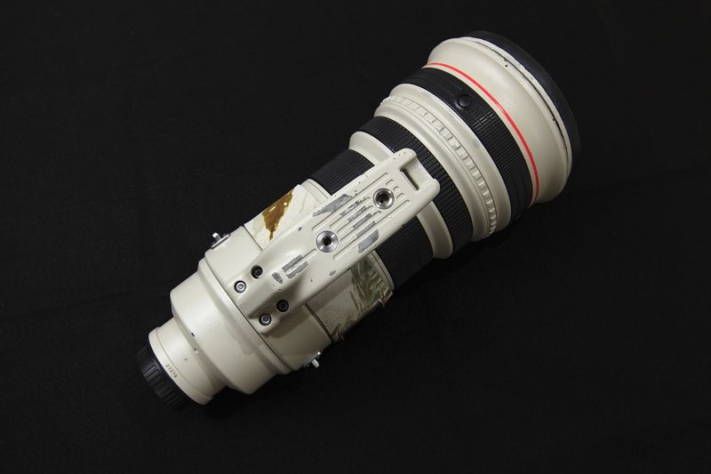 IMAGE: http://i1109.photobucket.com/albums/h433/shutter_dreams/mkii/IMG_9954a_zpsb3fd2918.jpg