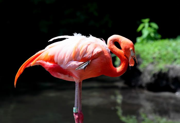 IMAGE: http://i1109.photobucket.com/albums/h433/shutter_dreams/museum/IMG_0978-1.jpg