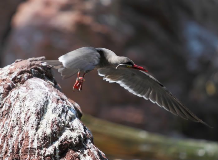 IMAGE: http://i1109.photobucket.com/albums/h433/shutter_dreams/museum/IMG_1053-1.jpg