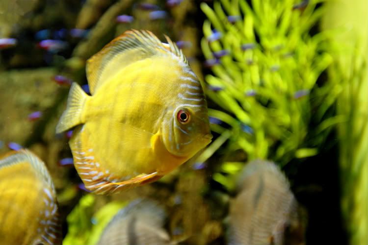 IMAGE: http://i1109.photobucket.com/albums/h433/shutter_dreams/museum/IMG_1349-1.jpg