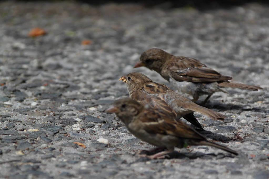 IMAGE: http://i1109.photobucket.com/albums/h433/shutter_dreams/museum/IMG_2245.jpg