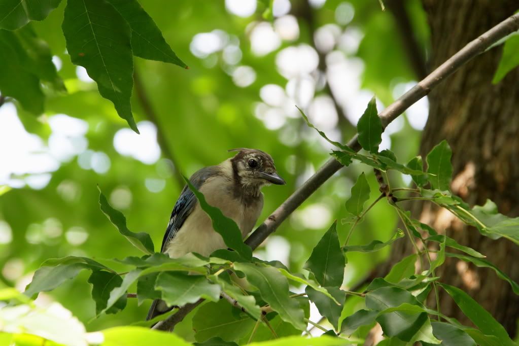 IMAGE: http://i1109.photobucket.com/albums/h433/shutter_dreams/museum/IMG_2551.jpg