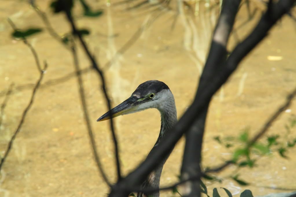 IMAGE: http://i1109.photobucket.com/albums/h433/shutter_dreams/museum/IMG_2568.jpg