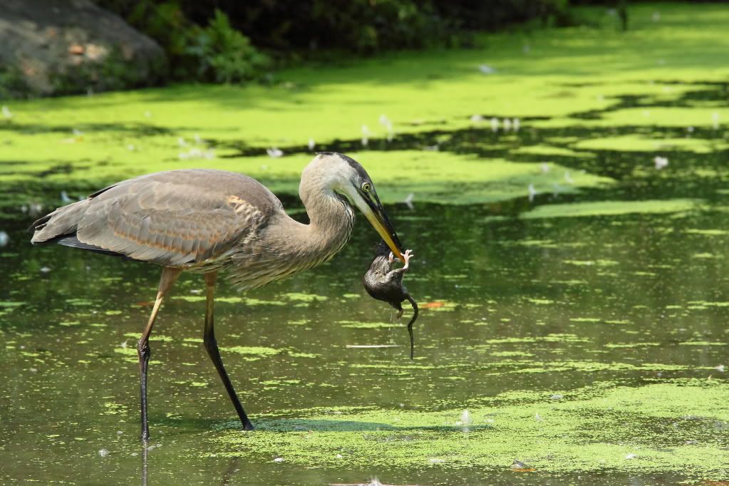 IMAGE: http://i1109.photobucket.com/albums/h433/shutter_dreams/museum/IMG_2612.jpg