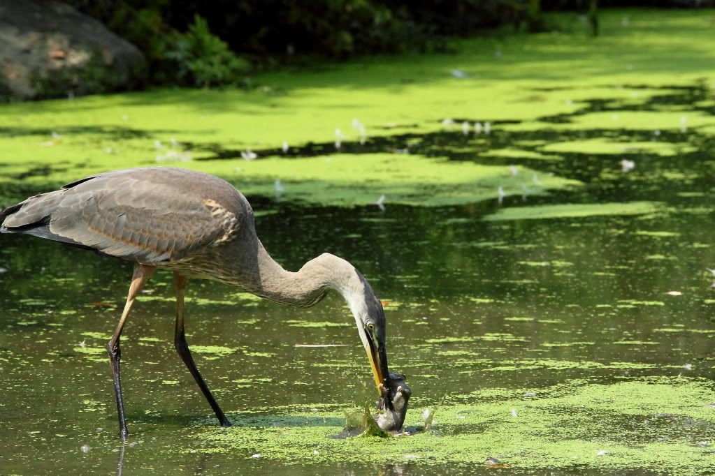 IMAGE: http://i1109.photobucket.com/albums/h433/shutter_dreams/museum/IMG_2613.jpg