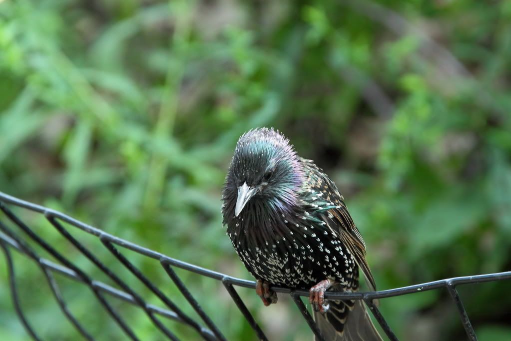 IMAGE: http://i1109.photobucket.com/albums/h433/shutter_dreams/museum/IMG_2711.jpg