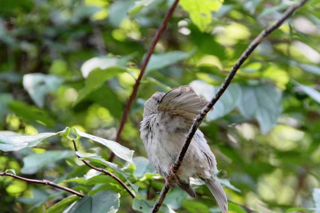 IMAGE: http://i1109.photobucket.com/albums/h433/shutter_dreams/museum/IMG_2781.jpg