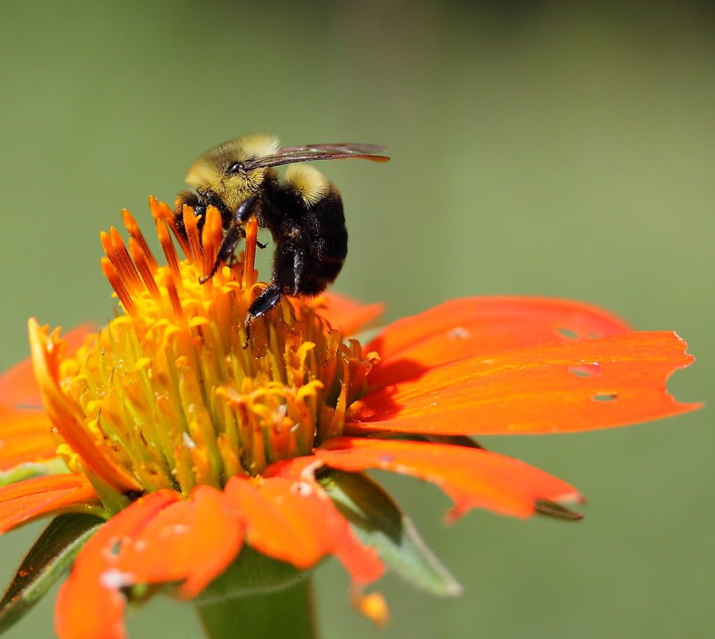 IMAGE: http://i1109.photobucket.com/albums/h433/shutter_dreams/museum/IMG_3045.jpg