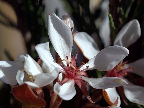 IMAGE: http://i1109.photobucket.com/albums/h433/shutter_dreams/museum/IMG_7904.jpg