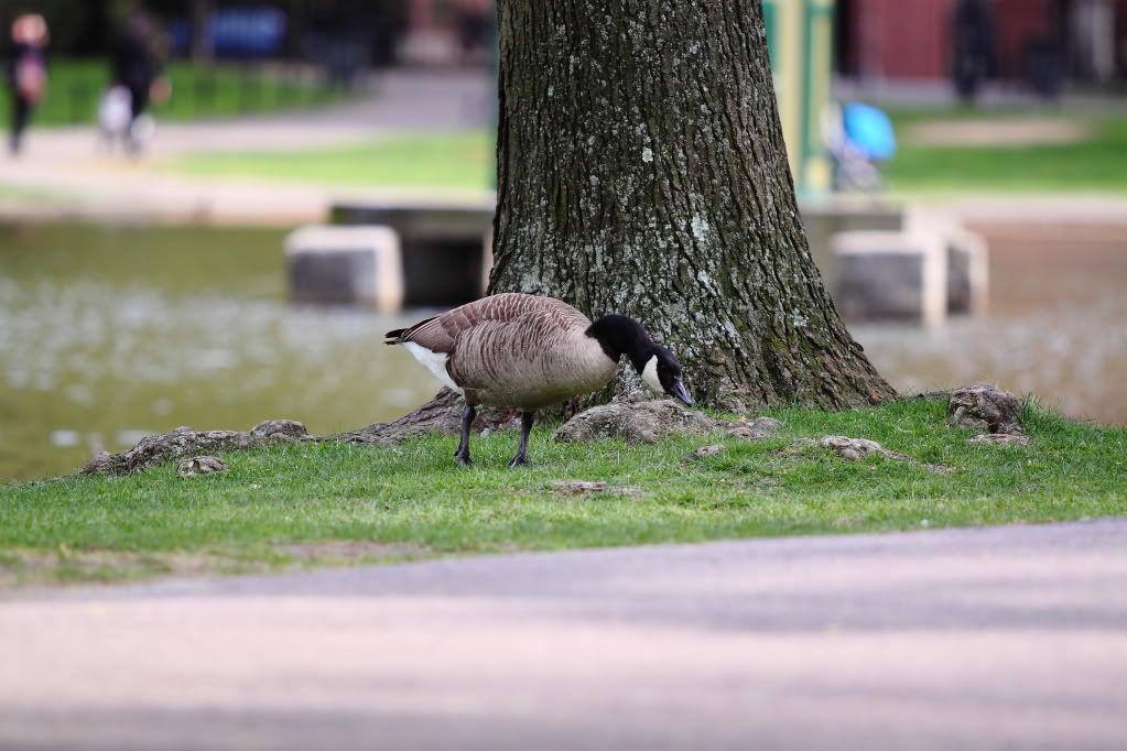 IMAGE: http://i1109.photobucket.com/albums/h433/shutter_dreams/museum/IMG_9146.jpg