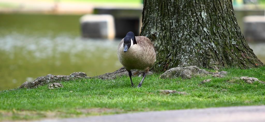 IMAGE: http://i1109.photobucket.com/albums/h433/shutter_dreams/museum/IMG_9147.jpg