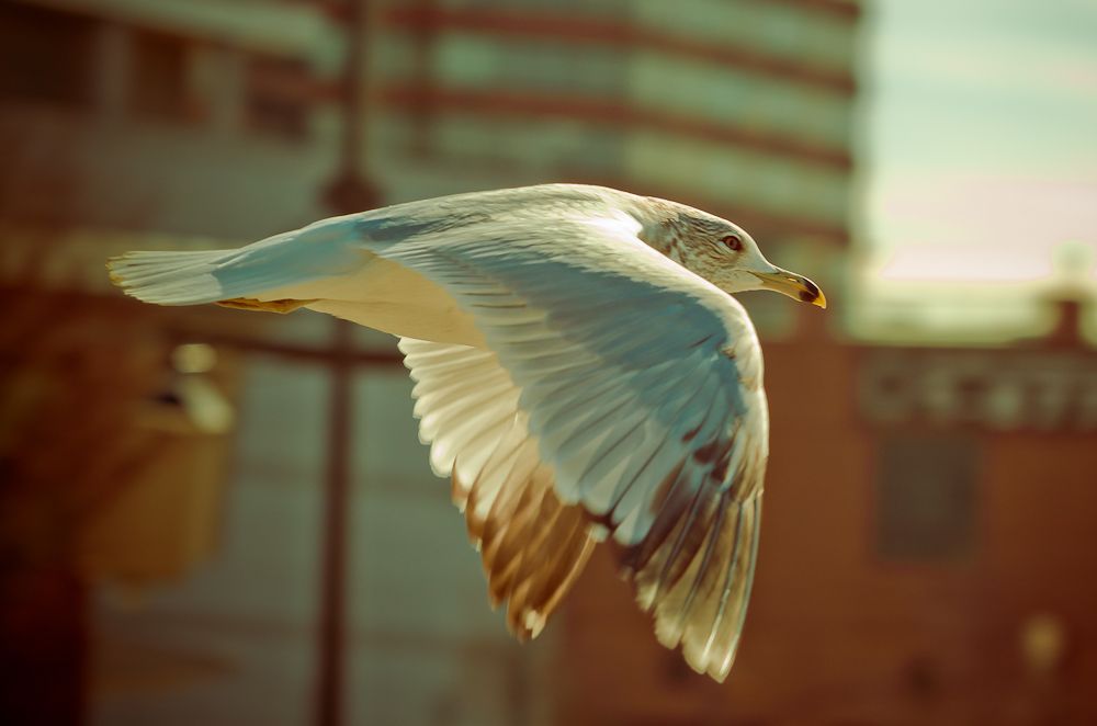 IMAGE: http://i1109.photobucket.com/albums/h433/shutter_dreams/museum/IMG_9212-3.jpg