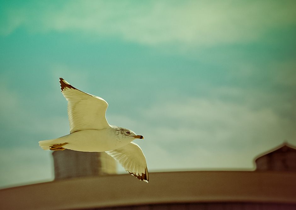 IMAGE: http://i1109.photobucket.com/albums/h433/shutter_dreams/museum/IMG_9214a-3.jpg