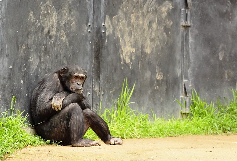 IMAGE: http://i1109.photobucket.com/albums/h433/shutter_dreams/museum/IMG_9397.jpg