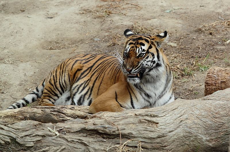 IMAGE: http://i1109.photobucket.com/albums/h433/shutter_dreams/museum/IMG_9409.jpg