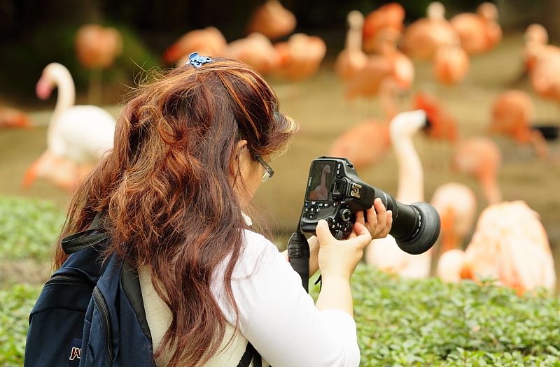 IMAGE: http://i1109.photobucket.com/albums/h433/shutter_dreams/museum/IMG_9448.jpg