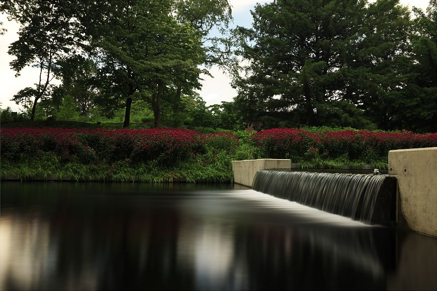 IMAGE: http://i1109.photobucket.com/albums/h433/shutter_dreams/x100s/DSCF4364_zpsd449004a.jpg