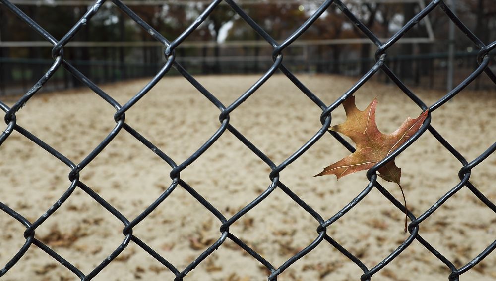 IMAGE: http://i1109.photobucket.com/albums/h433/shutter_dreams/x100s/DSCF5092b_zps2d10a85c.jpg