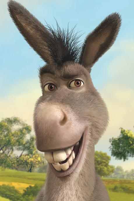 donkey shrek Pictures, Images and Photos