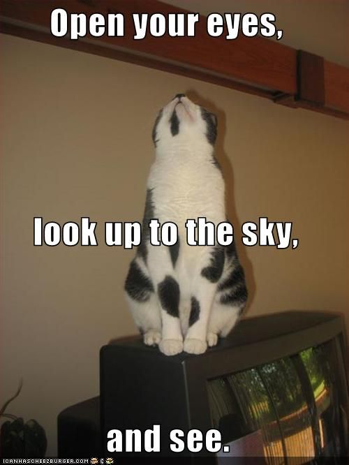 Forum Image: http://i1109.photobucket.com/albums/h435/lugo104/Open_eab808c7dcd5794a431c8345d6b3b8fb.jpg