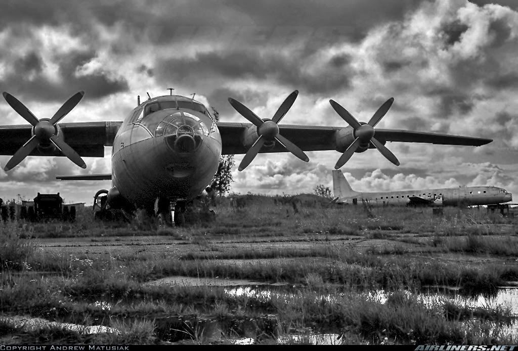avion avion