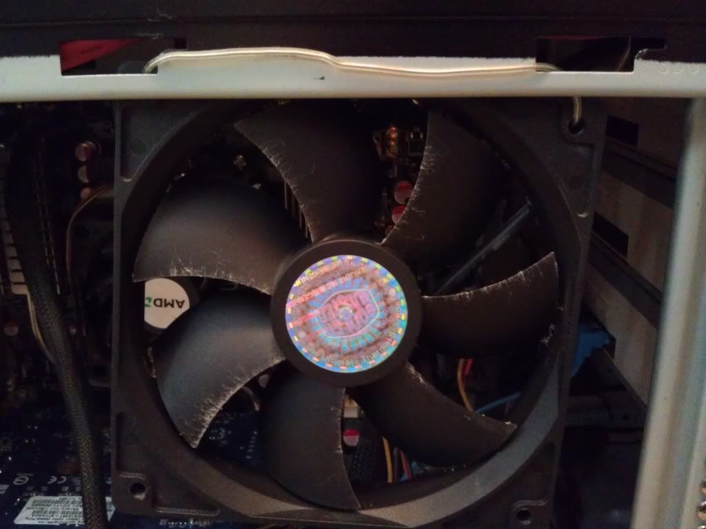 IMAG0116.jpg