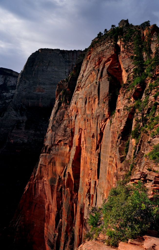 ZionsAngelsLanding.jpg