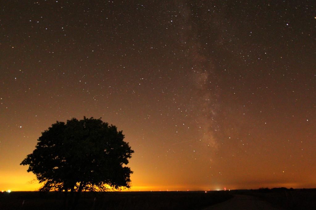 IMAGE: http://i1109.photobucket.com/albums/h440/asherjimmy/MW1_zps71fdeaa7.jpg