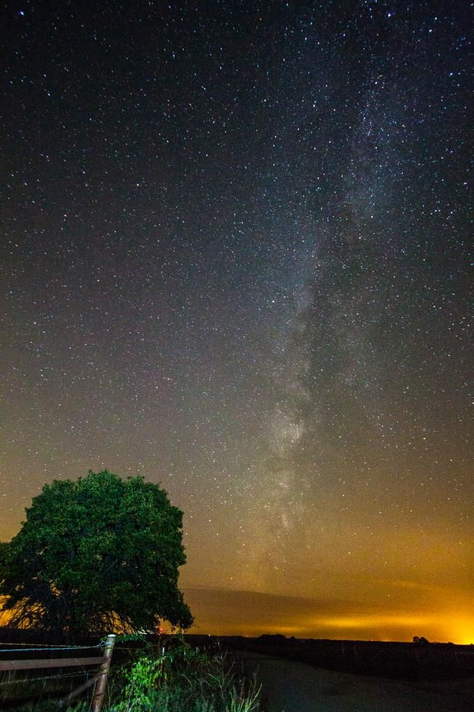 IMAGE: http://i1109.photobucket.com/albums/h440/asherjimmy/MW31of1_zps97c8acd1.jpg