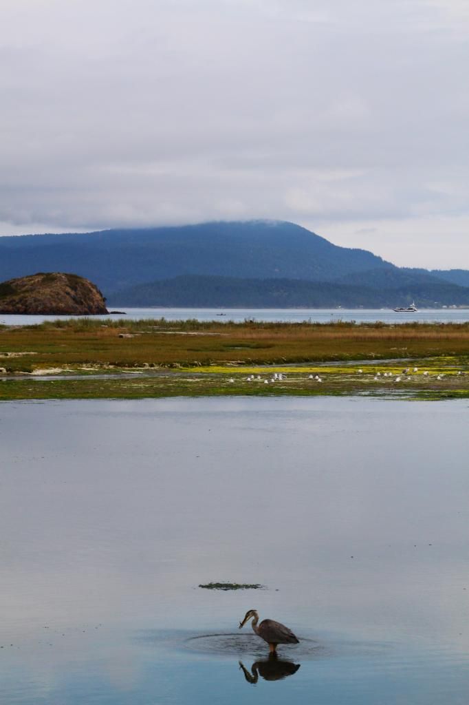 IMAGE: http://i1109.photobucket.com/albums/h440/asherjimmy/SS20_zps3fb5e09a.jpg