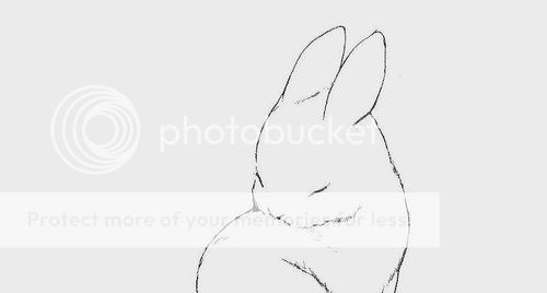 photo Bunny.jpg