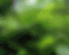 ATT00004.gif