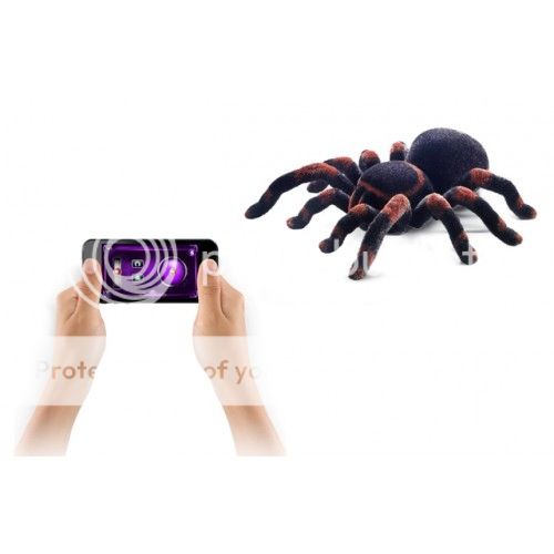 Melin iSpider