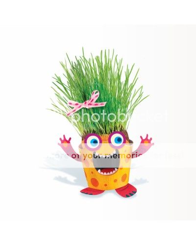 Grass Head Growing